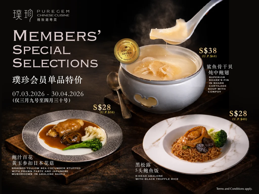 2026 March Website Thumbnails2_3Bao