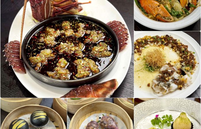 Puregem-collage-1024x1024-1